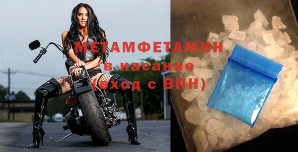 прущие грибы Лихославль