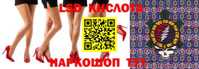 гидра Кандалакша