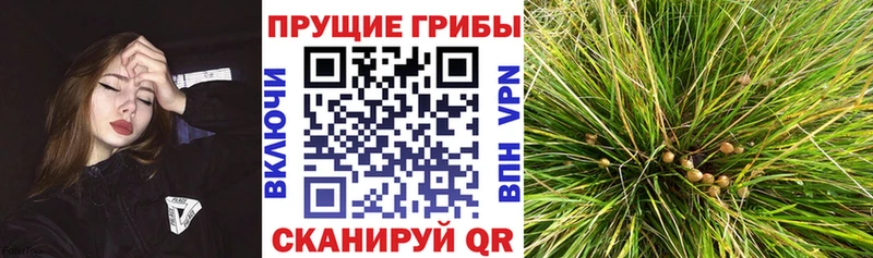 Псилоцибиновые грибы MAGIC MUSHROOMS Дюртюли