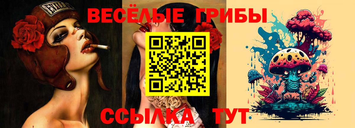 Галлюциногенные грибы прущие грибы Дюртюли
