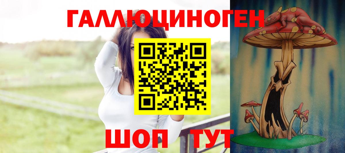 Псилоцибиновые грибы Cubensis  Галлюциногенные грибы Cubensis  Дюртюли 