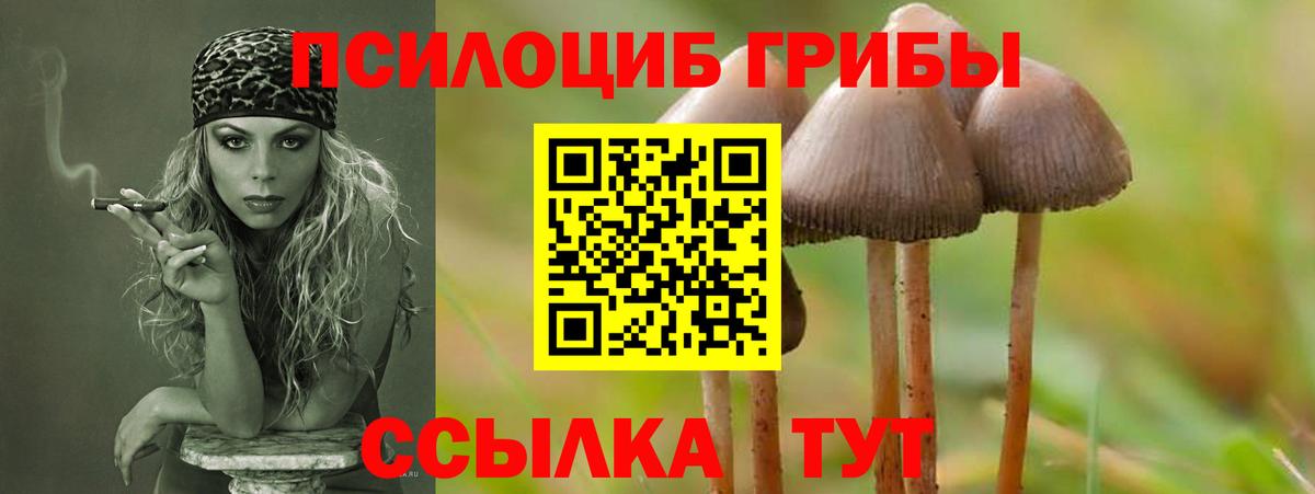 Дюртюли  Галлюциногенные грибы ЛСД  Вход с VPN 