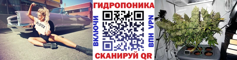 наркотики  Дюртюли  Шишки марихуана конопля 